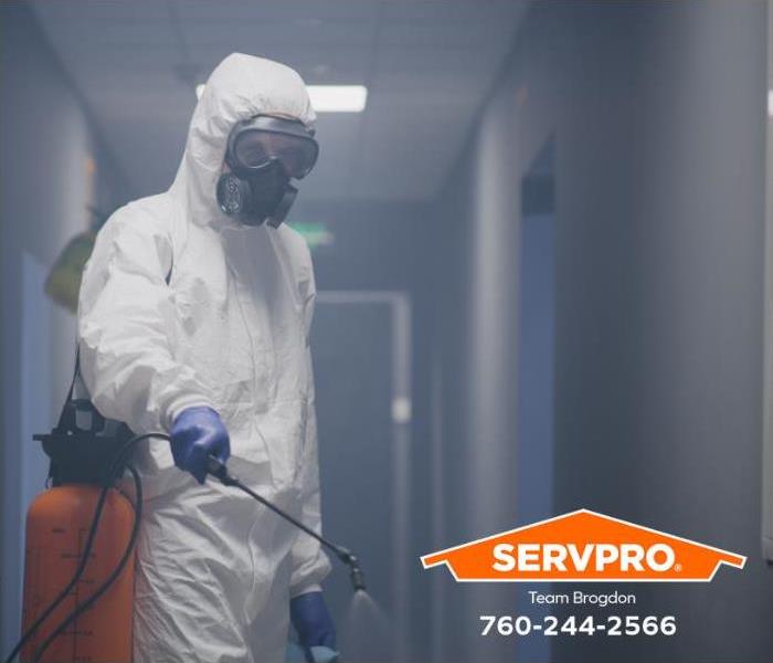 A technician uses fogging equipment to remove mold odor in a building.